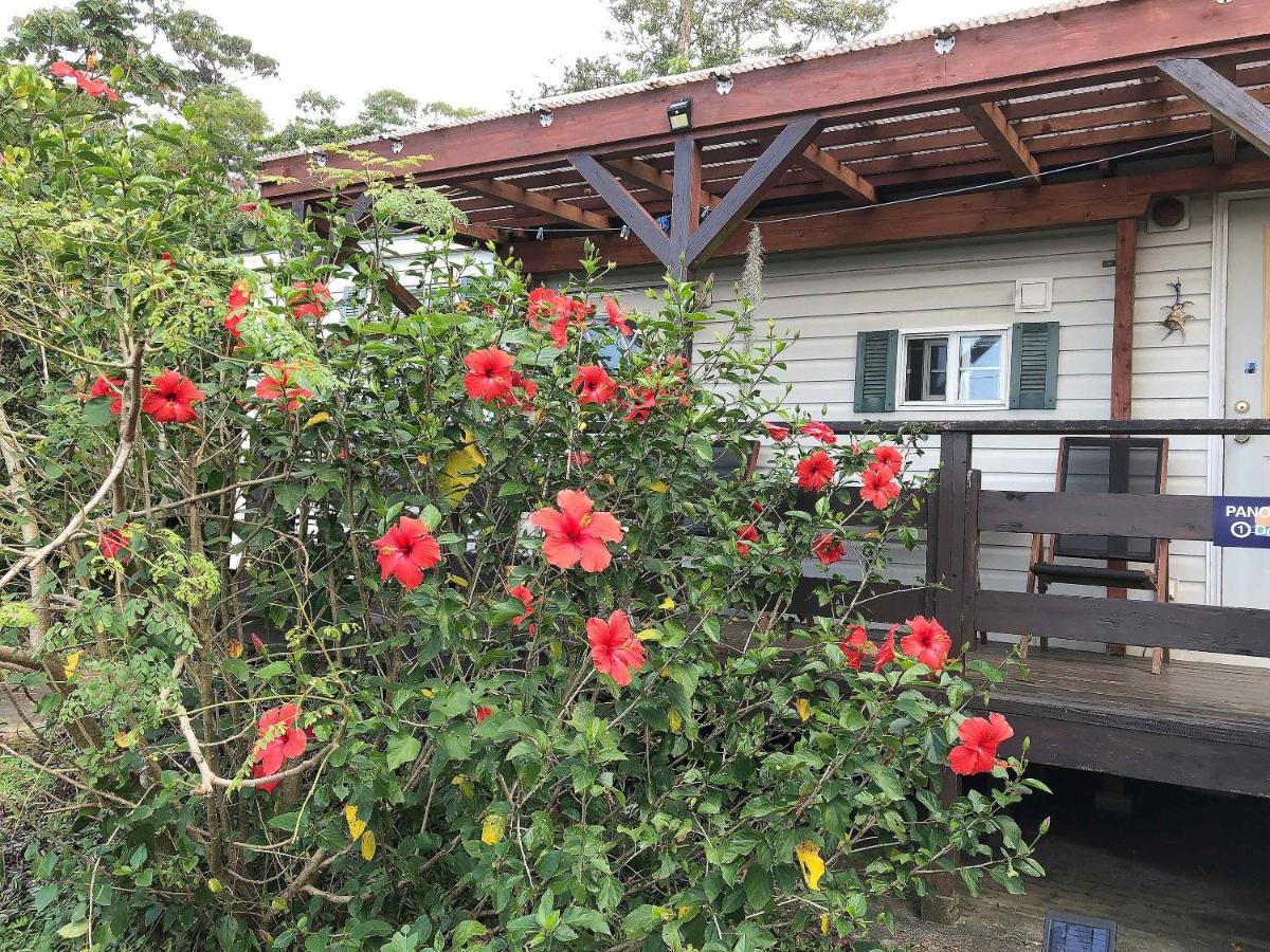 Panorama Ocean View Cottage Motobu Ngoại thất bức ảnh