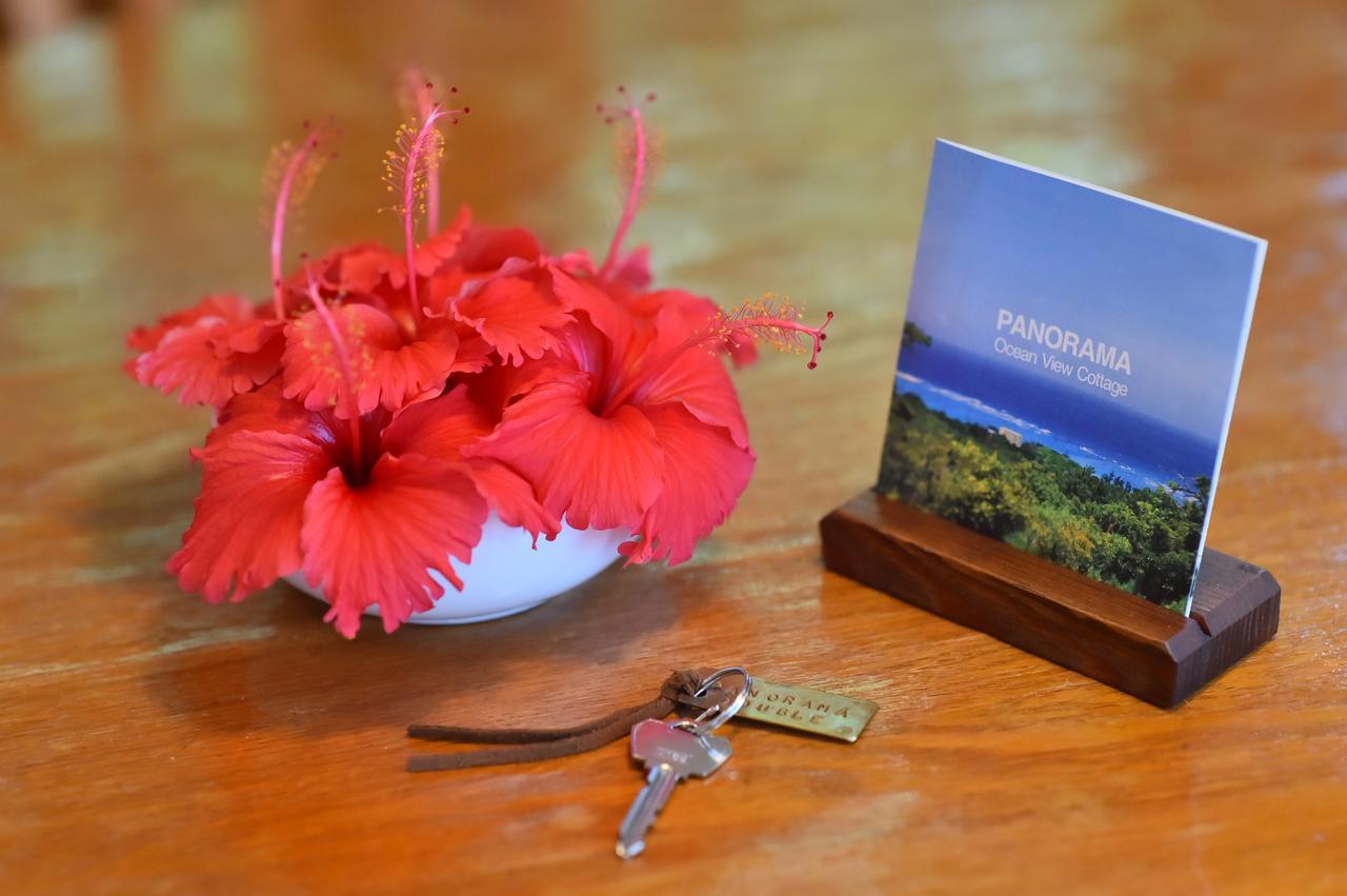 Panorama Ocean View Cottage Motobu Ngoại thất bức ảnh