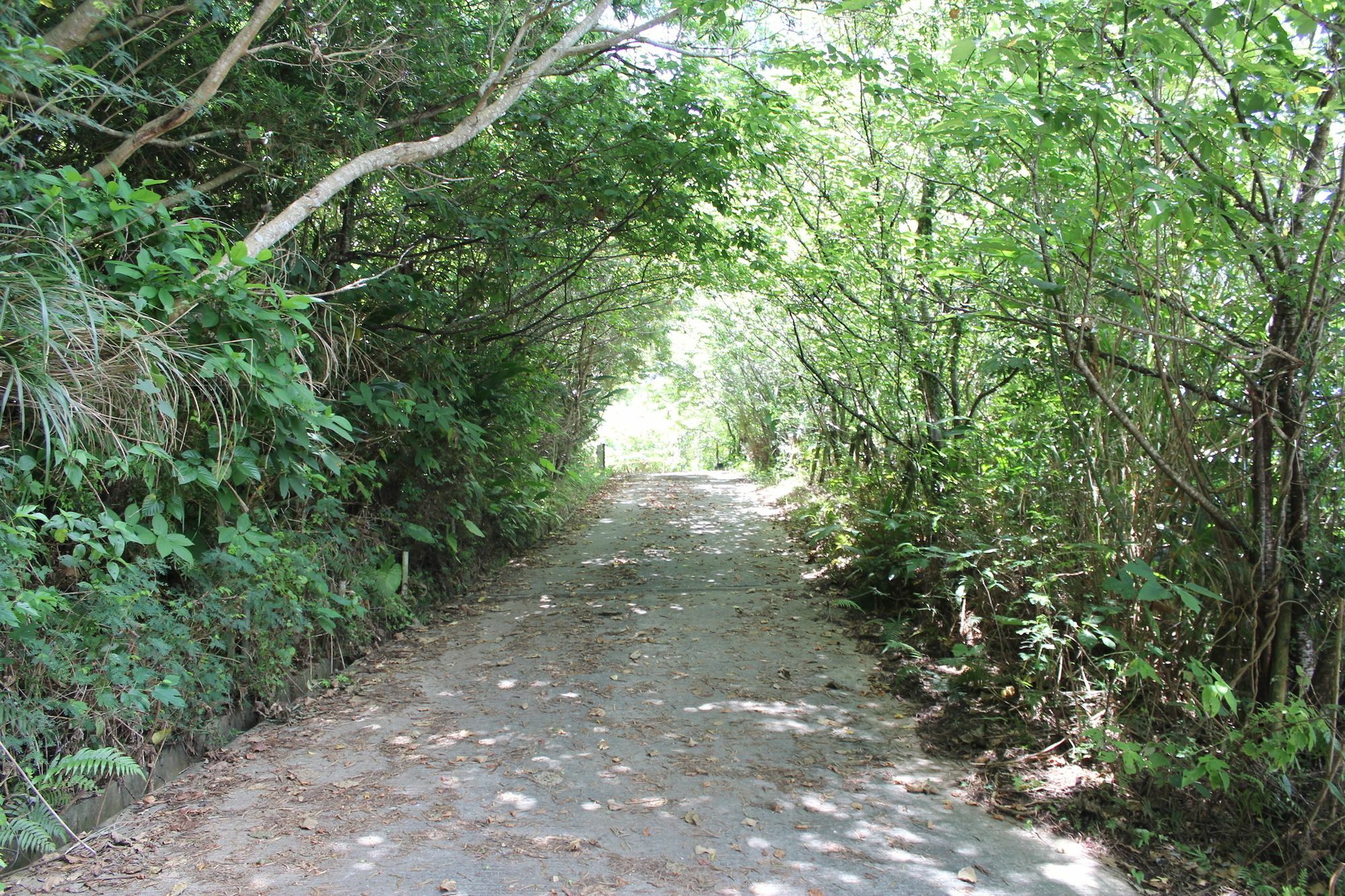 Panorama Ocean View Cottage Motobu Ngoại thất bức ảnh